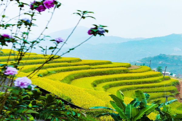 6 Day Ha Giang  Yen Minh Meo Vac  Cao Bang  Ban Gioc Waterfall Tour - photo 18
